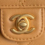 Chanel Mini Flap Bag With Top Handle AS5164